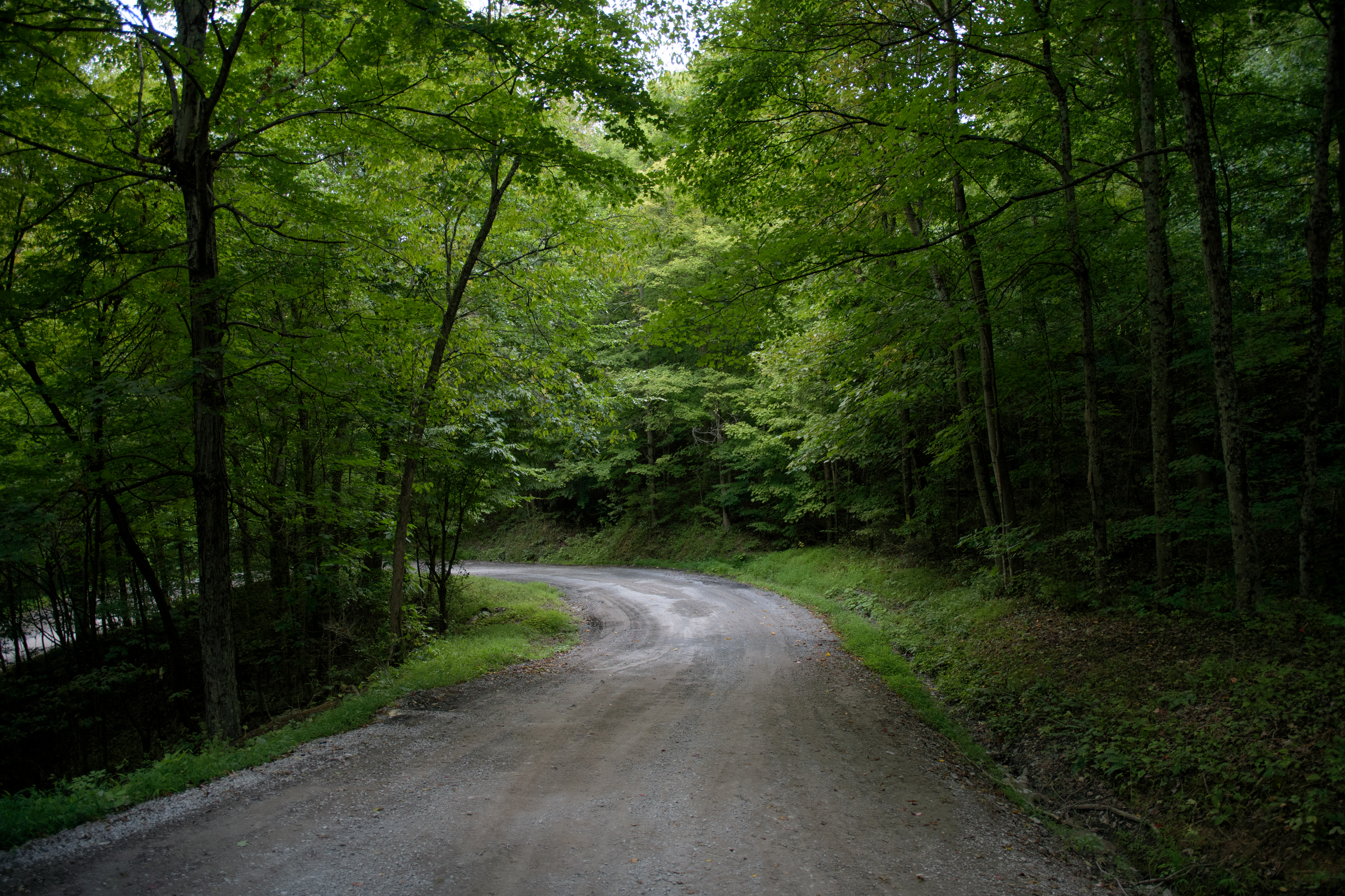 A winding gravel road in rural Greene County, PA.